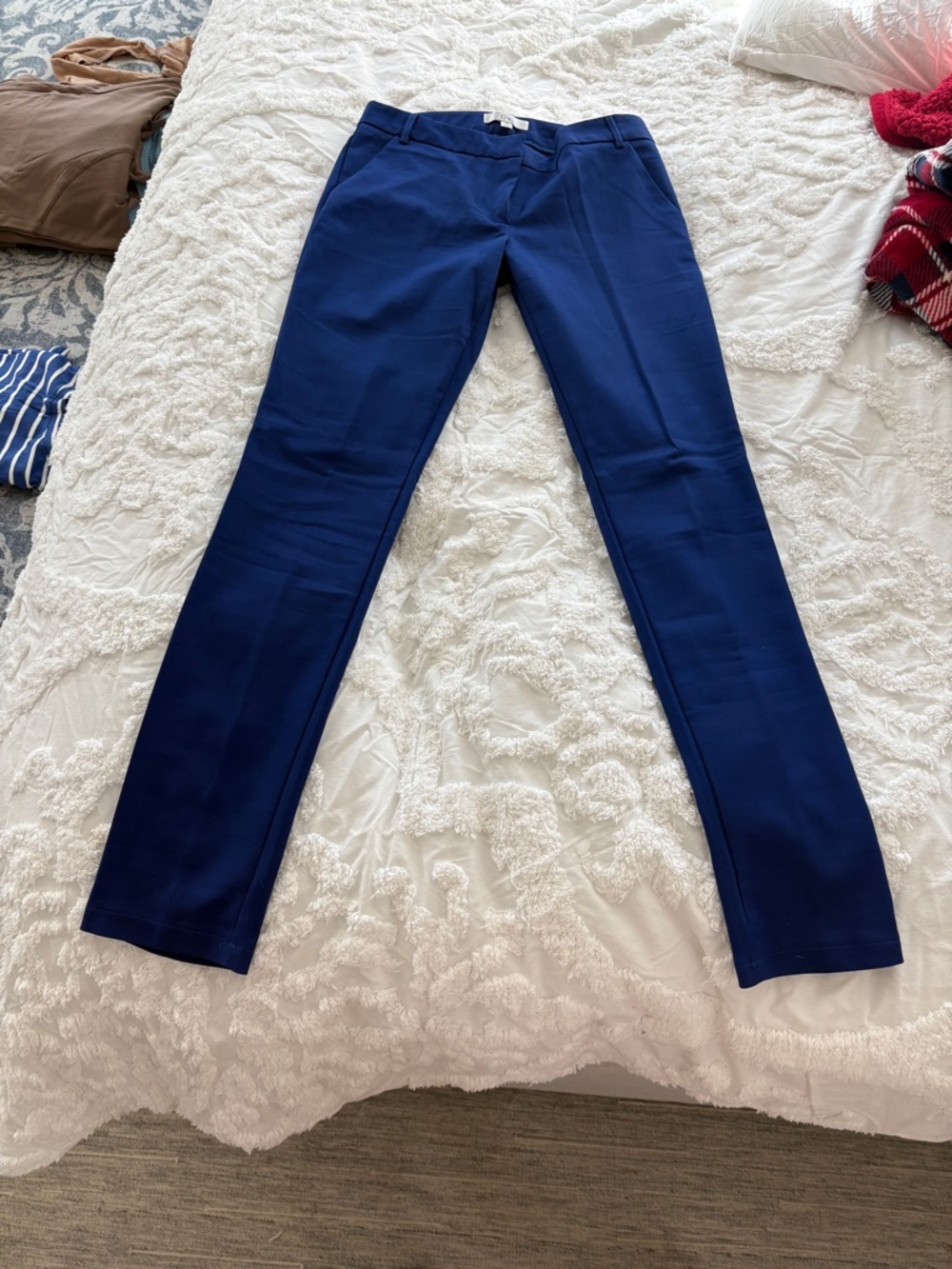 Ovi Cobalt Blue Dress Pants